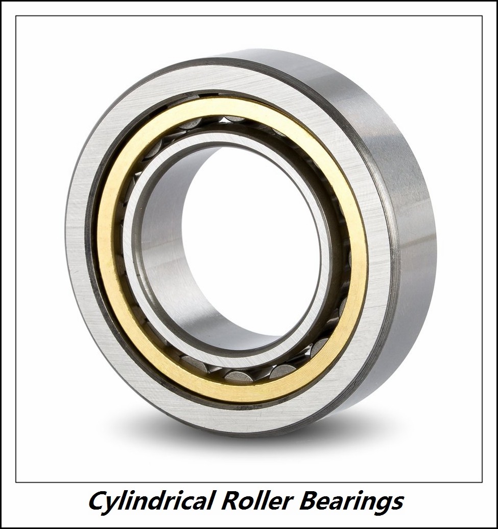 8.661 Inch | 220 Millimeter x 11.811 Inch | 300 Millimeter x 3.15 Inch | 80 Millimeter  CONSOLIDATED BEARING NNCL-4944V C/3  Cylindrical Roller Bearings