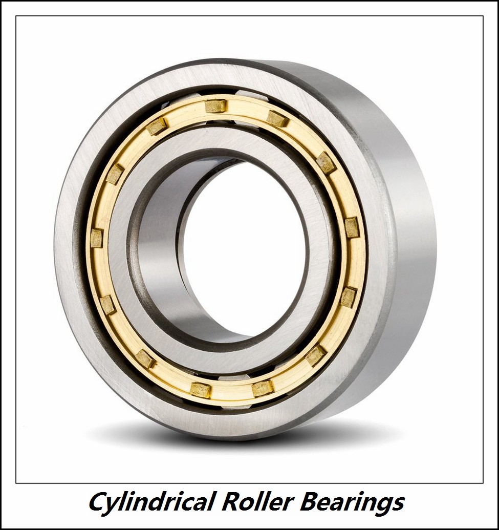1.25 Inch | 31.75 Millimeter x 2 Inch | 50.8 Millimeter x 1.5 Inch | 38.1 Millimeter  CONSOLIDATED BEARING 96724  Cylindrical Roller Bearings