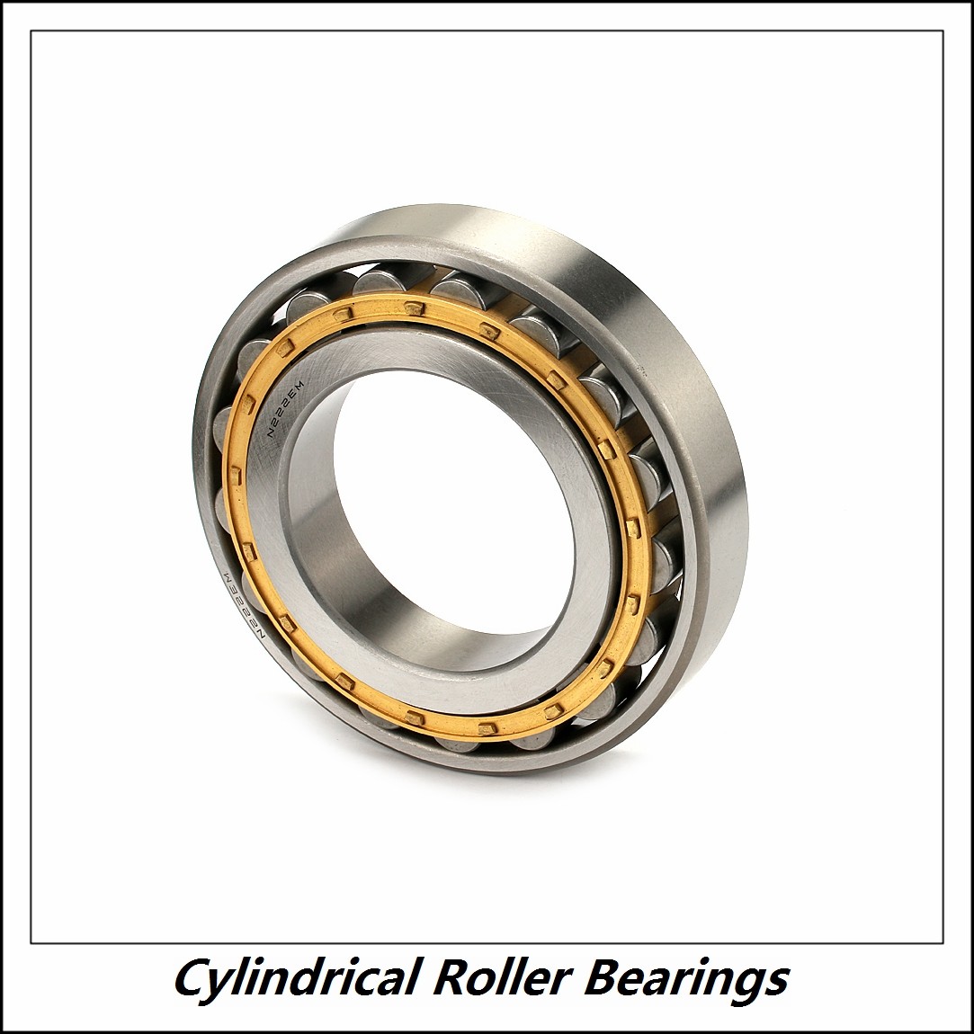 1.375 Inch | 34.925 Millimeter x 2 Inch | 50.8 Millimeter x 2 Inch | 50.8 Millimeter  CONSOLIDATED BEARING 95832  Cylindrical Roller Bearings