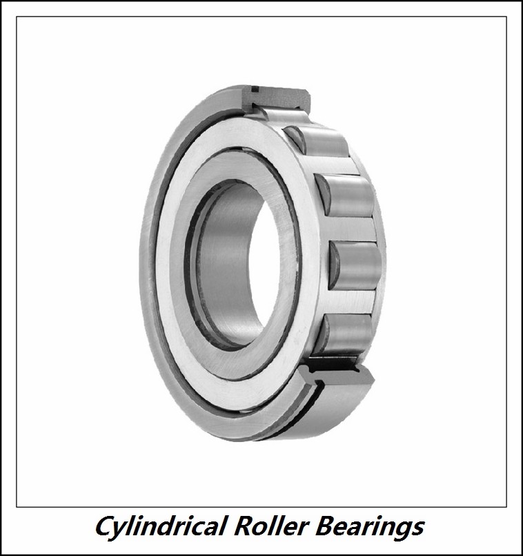 4.724 Inch | 120 Millimeter x 6.496 Inch | 165 Millimeter x 1.772 Inch | 45 Millimeter  CONSOLIDATED BEARING NNCL-4924V  Cylindrical Roller Bearings