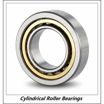 1.5 Inch | 38.1 Millimeter x 2.125 Inch | 53.975 Millimeter x 1.75 Inch | 44.45 Millimeter  CONSOLIDATED BEARING 95928  Cylindrical Roller Bearings
