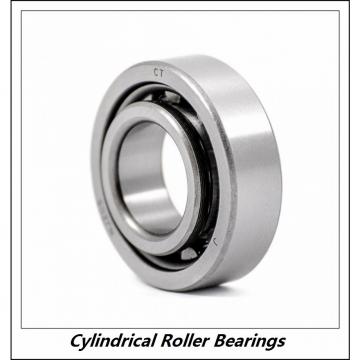2.559 Inch | 65 Millimeter x 4.724 Inch | 120 Millimeter x 0.906 Inch | 23 Millimeter  CONSOLIDATED BEARING NU-213  Cylindrical Roller Bearings