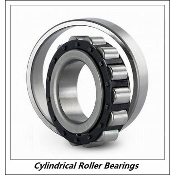 0.669 Inch | 17 Millimeter x 1.85 Inch | 47 Millimeter x 0.551 Inch | 14 Millimeter  CONSOLIDATED BEARING NUP-303  Cylindrical Roller Bearings