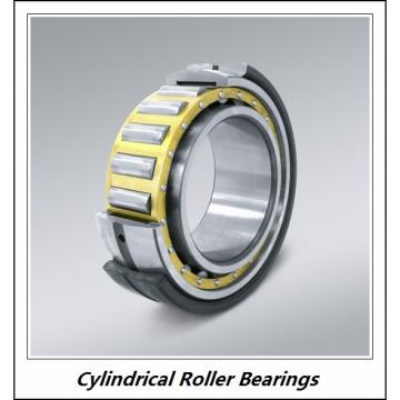 2.559 Inch | 65 Millimeter x 4.724 Inch | 120 Millimeter x 0.906 Inch | 23 Millimeter  CONSOLIDATED BEARING NU-213 M  Cylindrical Roller Bearings