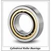 1.181 Inch | 30 Millimeter x 2.835 Inch | 72 Millimeter x 0.748 Inch | 19 Millimeter  CONSOLIDATED BEARING NUP-306E  Cylindrical Roller Bearings