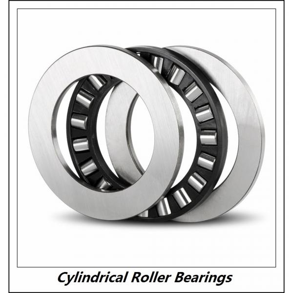 2.362 Inch | 60 Millimeter x 4.331 Inch | 110 Millimeter x 0.866 Inch | 22 Millimeter  CONSOLIDATED BEARING NU-212  Cylindrical Roller Bearings #1 image