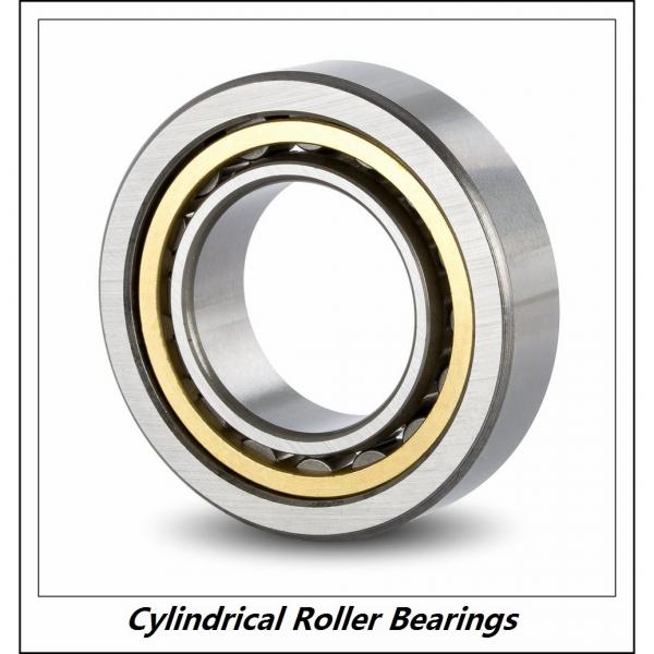 0.669 Inch | 17 Millimeter x 1.85 Inch | 47 Millimeter x 0.551 Inch | 14 Millimeter  CONSOLIDATED BEARING NUP-303  Cylindrical Roller Bearings #4 image