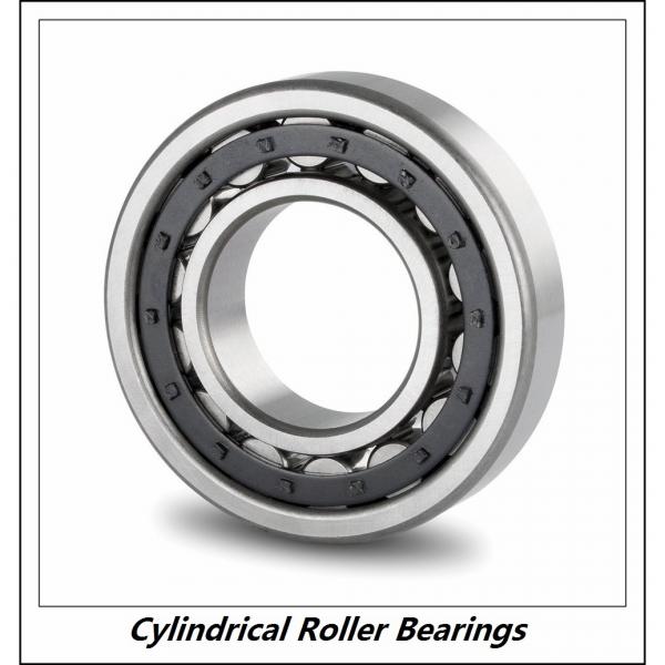 0.984 Inch | 25 Millimeter x 2.441 Inch | 62 Millimeter x 0.669 Inch | 17 Millimeter  CONSOLIDATED BEARING NUP-305  Cylindrical Roller Bearings #1 image