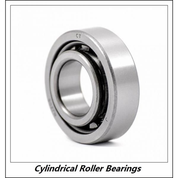 0.669 Inch | 17 Millimeter x 1.85 Inch | 47 Millimeter x 0.551 Inch | 14 Millimeter  CONSOLIDATED BEARING NUP-303  Cylindrical Roller Bearings #1 image