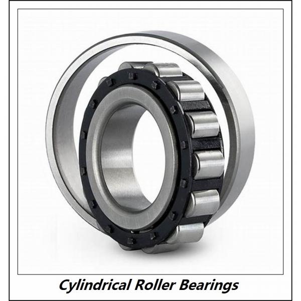 0.669 Inch | 17 Millimeter x 1.85 Inch | 47 Millimeter x 0.551 Inch | 14 Millimeter  CONSOLIDATED BEARING NUP-303  Cylindrical Roller Bearings #5 image
