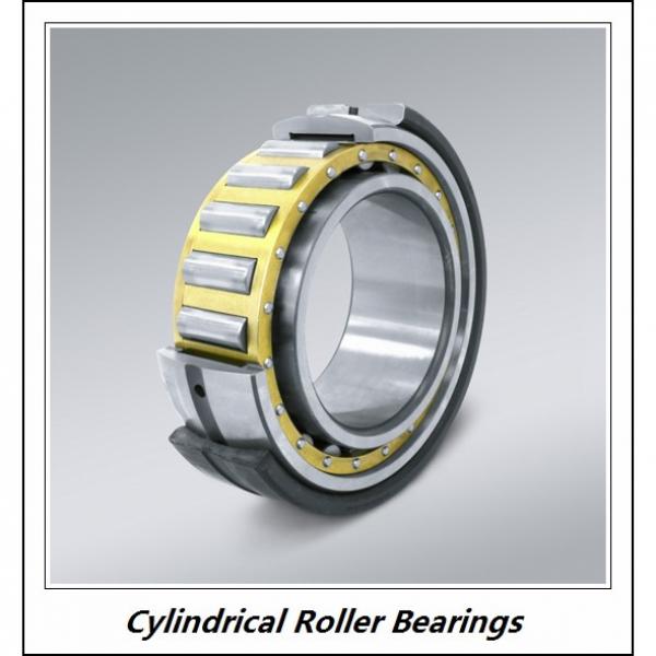 0.669 Inch | 17 Millimeter x 1.85 Inch | 47 Millimeter x 0.551 Inch | 14 Millimeter  CONSOLIDATED BEARING NUP-303  Cylindrical Roller Bearings #2 image